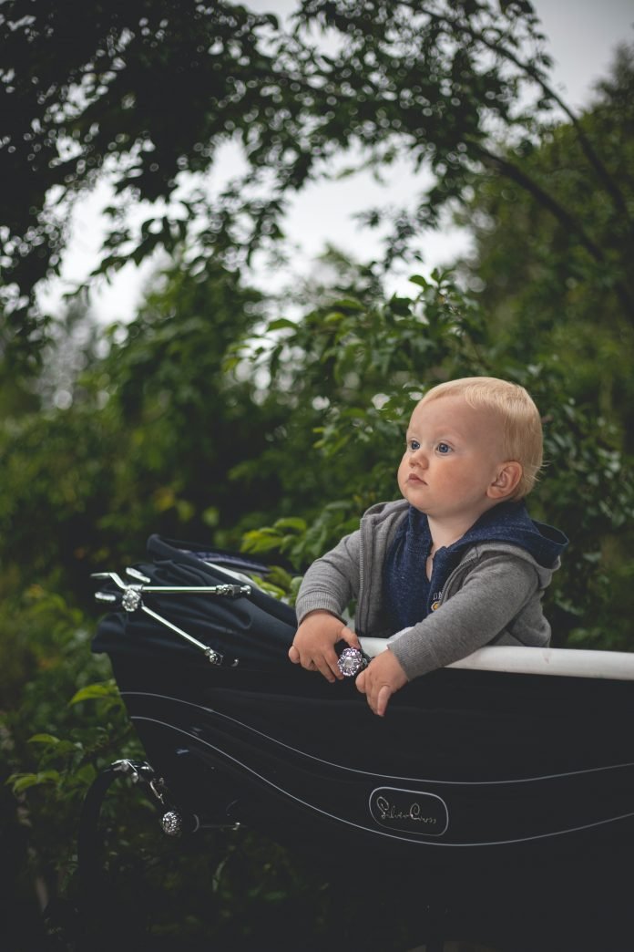 top 5 baby strollers